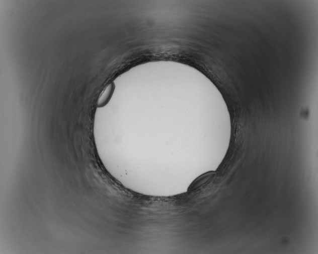 X0000115231153200911201551