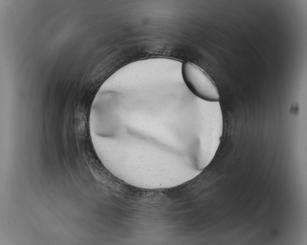 X0000115231154200911201551