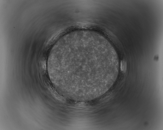 X0000115231155200911201551