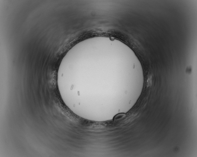 X0000115231156200911201551