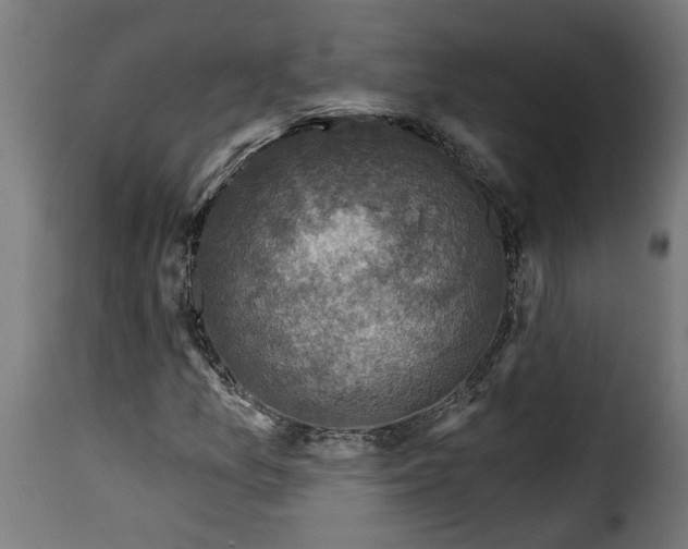 X0000115231157200911201550