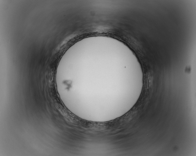 X0000115231158200911201550