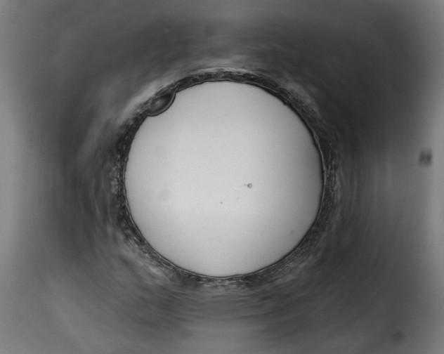 X0000115231159200911201550