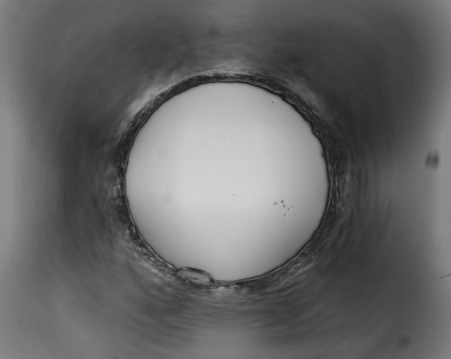 X0000115231160200911201550