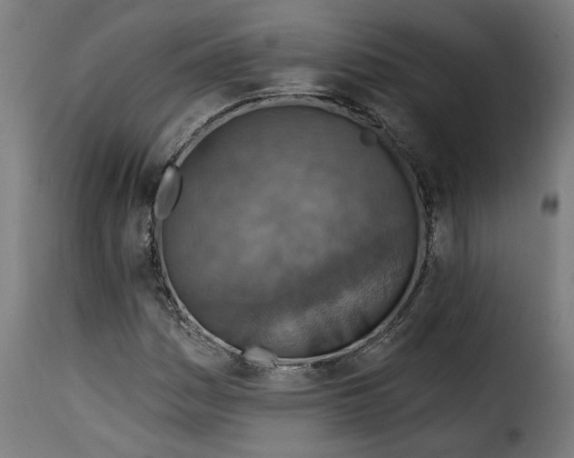 X0000115231161200911201550