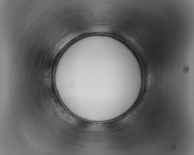 X0000115231162200911201550