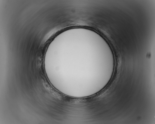 X0000115231163200911201550