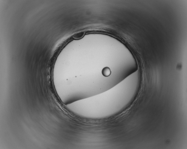 X0000115231164200911201550