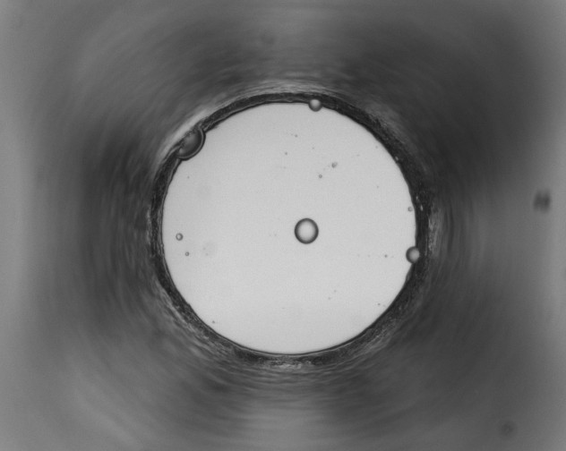 X0000115231165200911201550