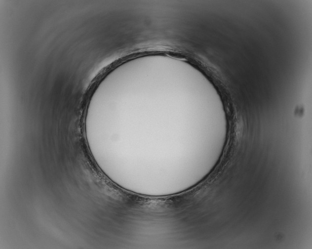 X0000115231166200911201550