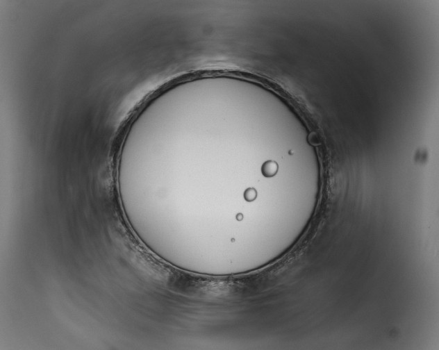 X0000115231167200911201550