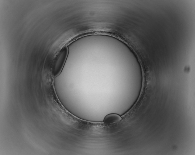 X0000115231169200911201550