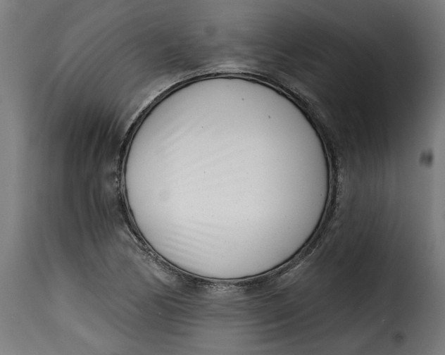 X0000115231170200911201550