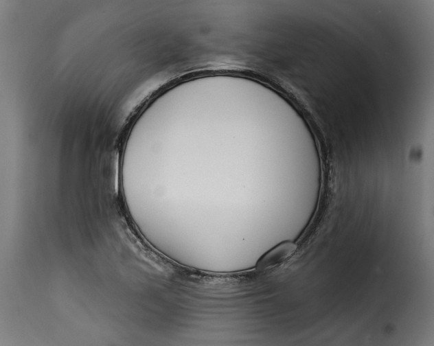 X0000115231171200911201550