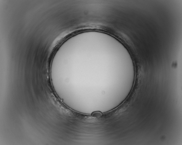 X0000115231172200911201550