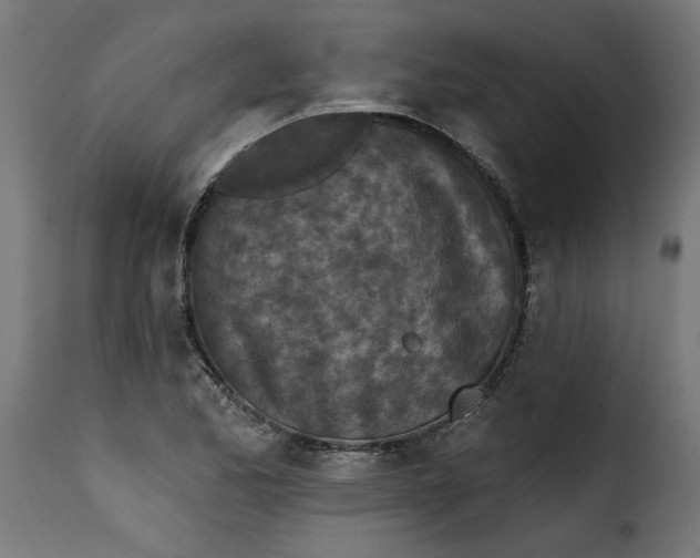 X0000115231173200911201550