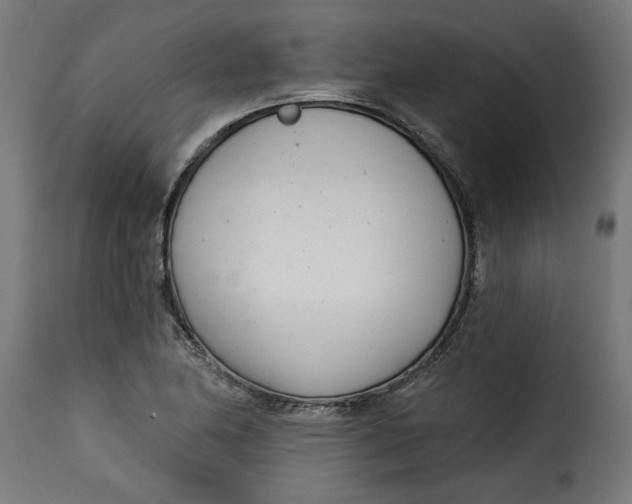 X0000115231174200911201550