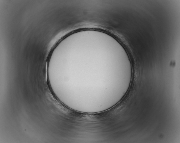 X0000115231175200911201550