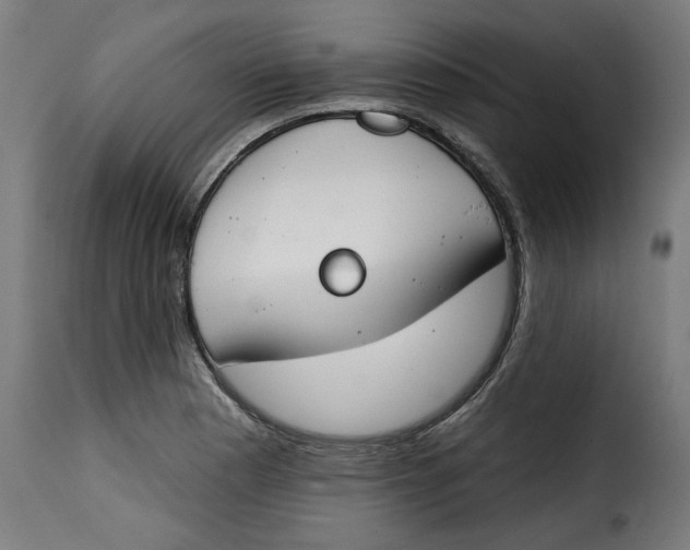 X0000115231177200911201550