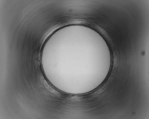 X0000115231178200911201550