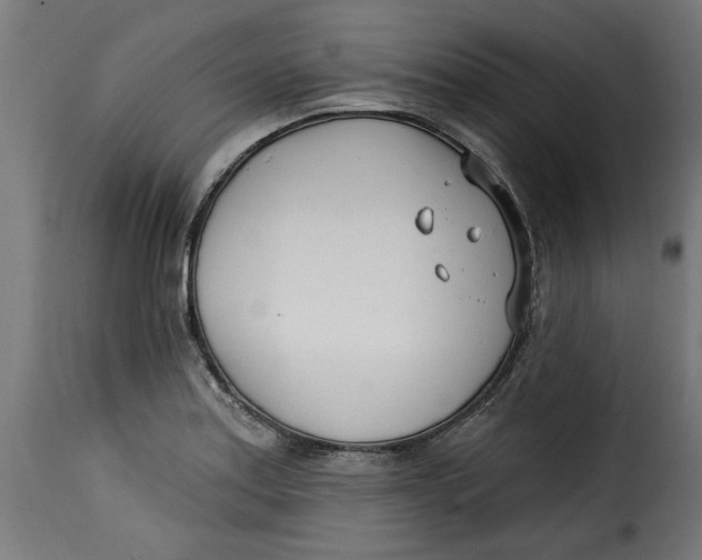 X0000115231179200911201550