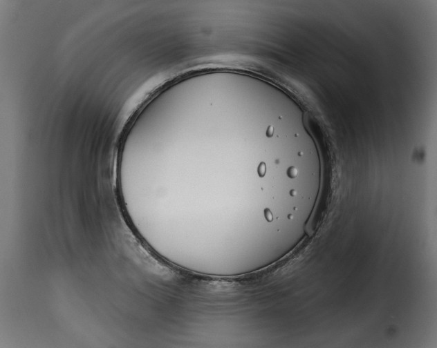 X0000115231180200911201550