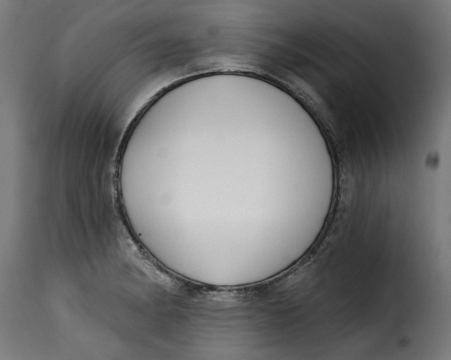 X0000115231182200911201550