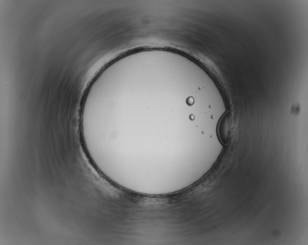 X0000115231183200911201550