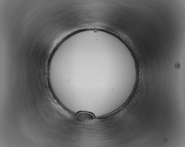 X0000115231184200911201550