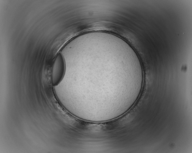 X0000115231185200911201550