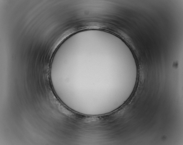 X0000115231186200911201550