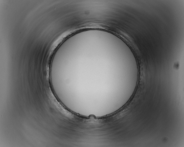 X0000115231188200911201550