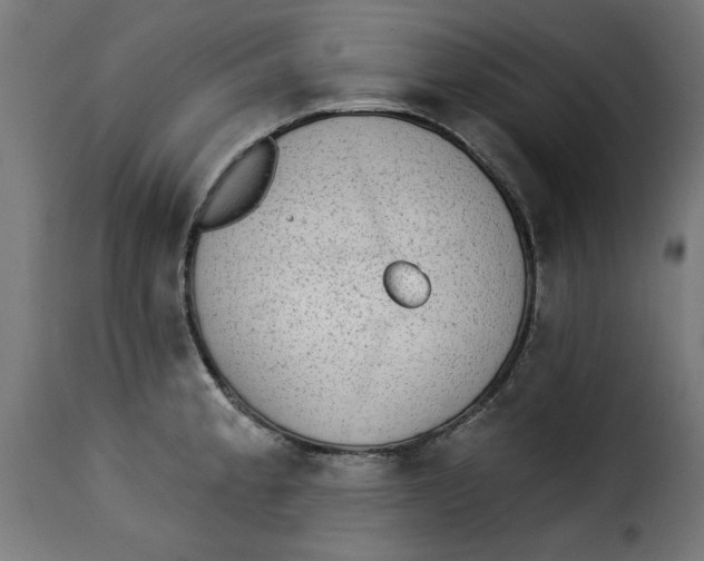 X0000115231189200911201550