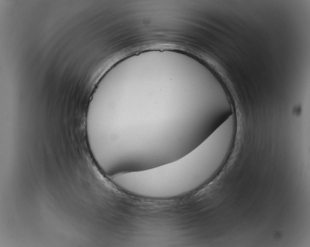 X0000115231193200911201550