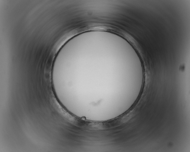 X0000115231194200911201550