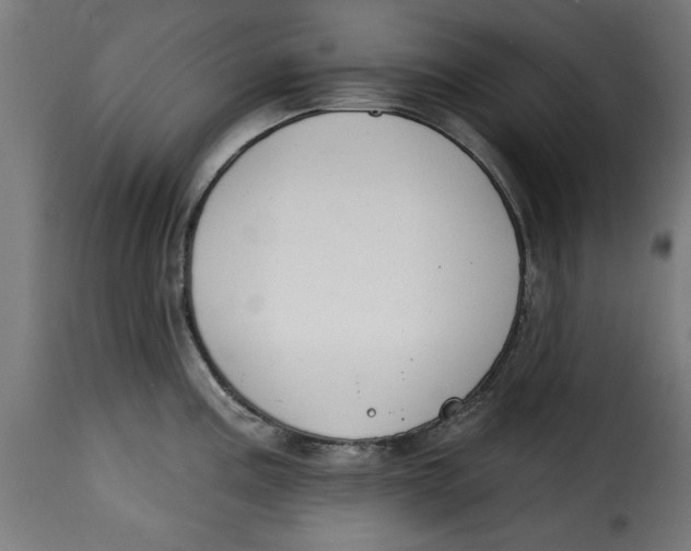 X0000115231195200911201550