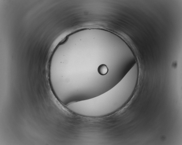 X0000115231196200911201550