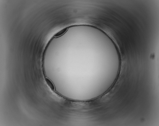 X0000115231197200911201550