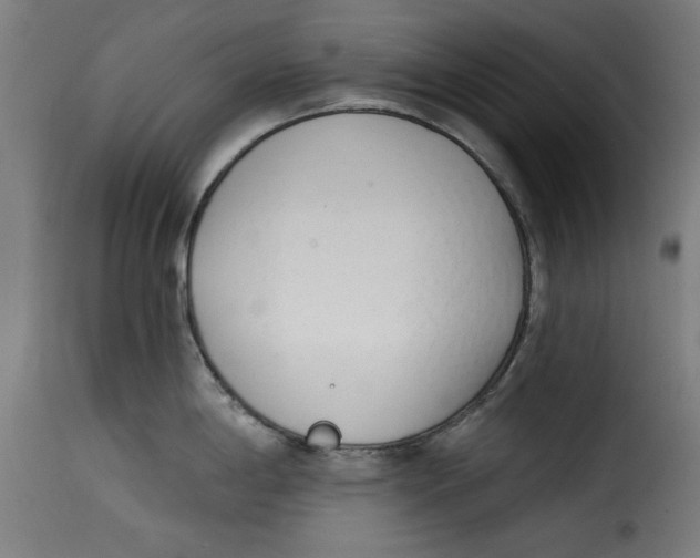 X0000115231198200911201550