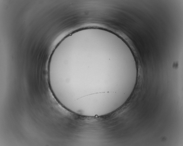 X0000115231199200911201550