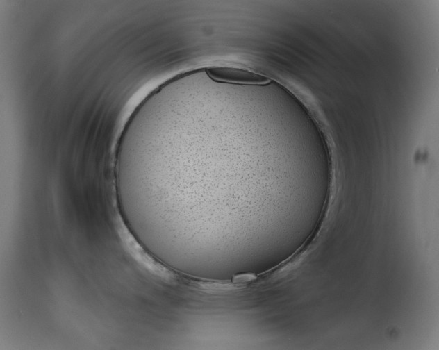 X0000115231200200911201550