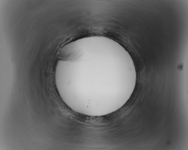 X0000115231201200911201549