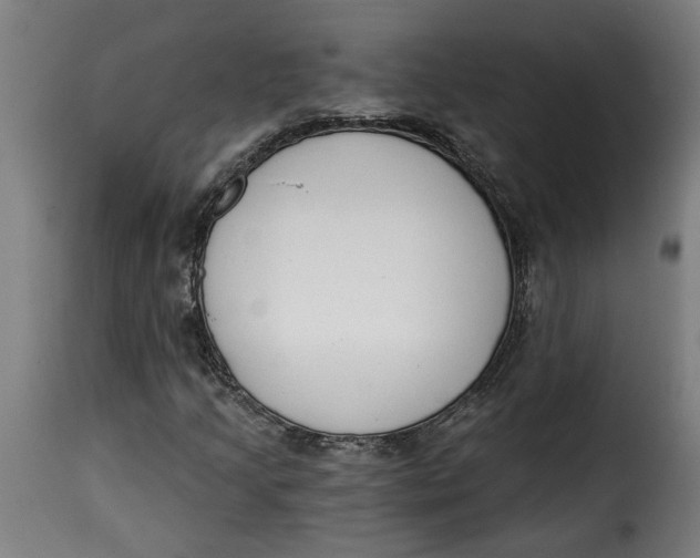 X0000115231205200911201549