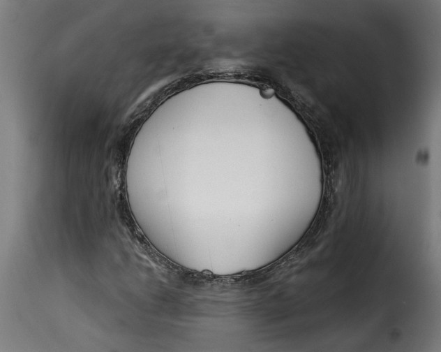 X0000115231206200911201549