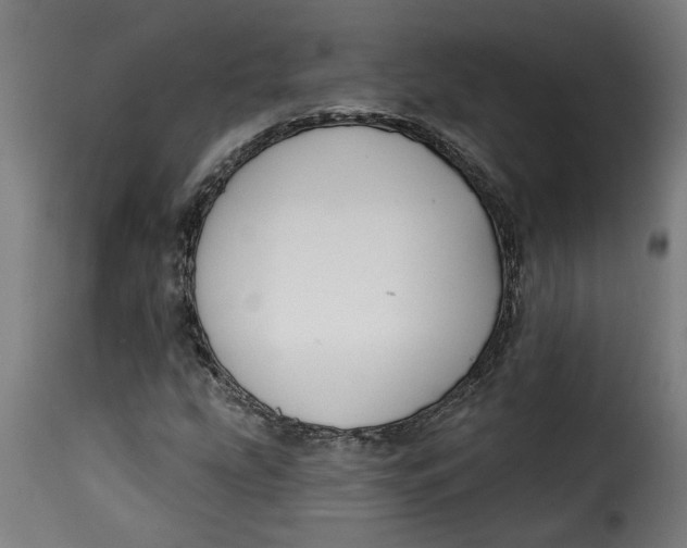 X0000115231207200911201549