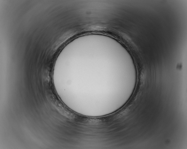 X0000115231209200911201549