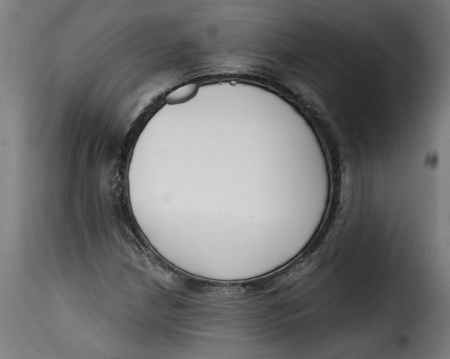 X0000115231210200911201549