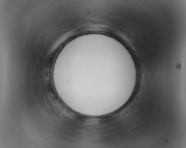 X0000115231211200911201549