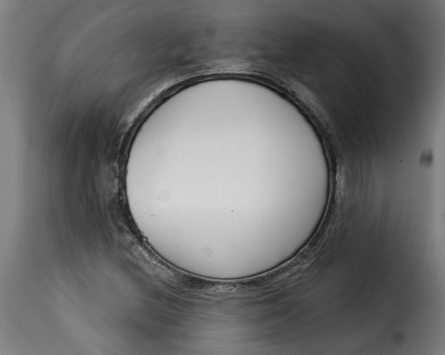 X0000115231212200911201549