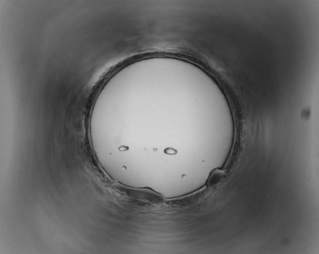 X0000115231214200911201549